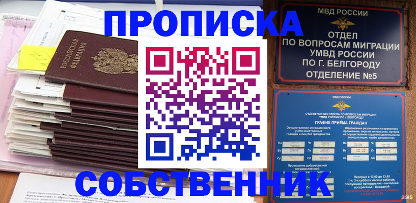 прописка законно в Кингисеппе